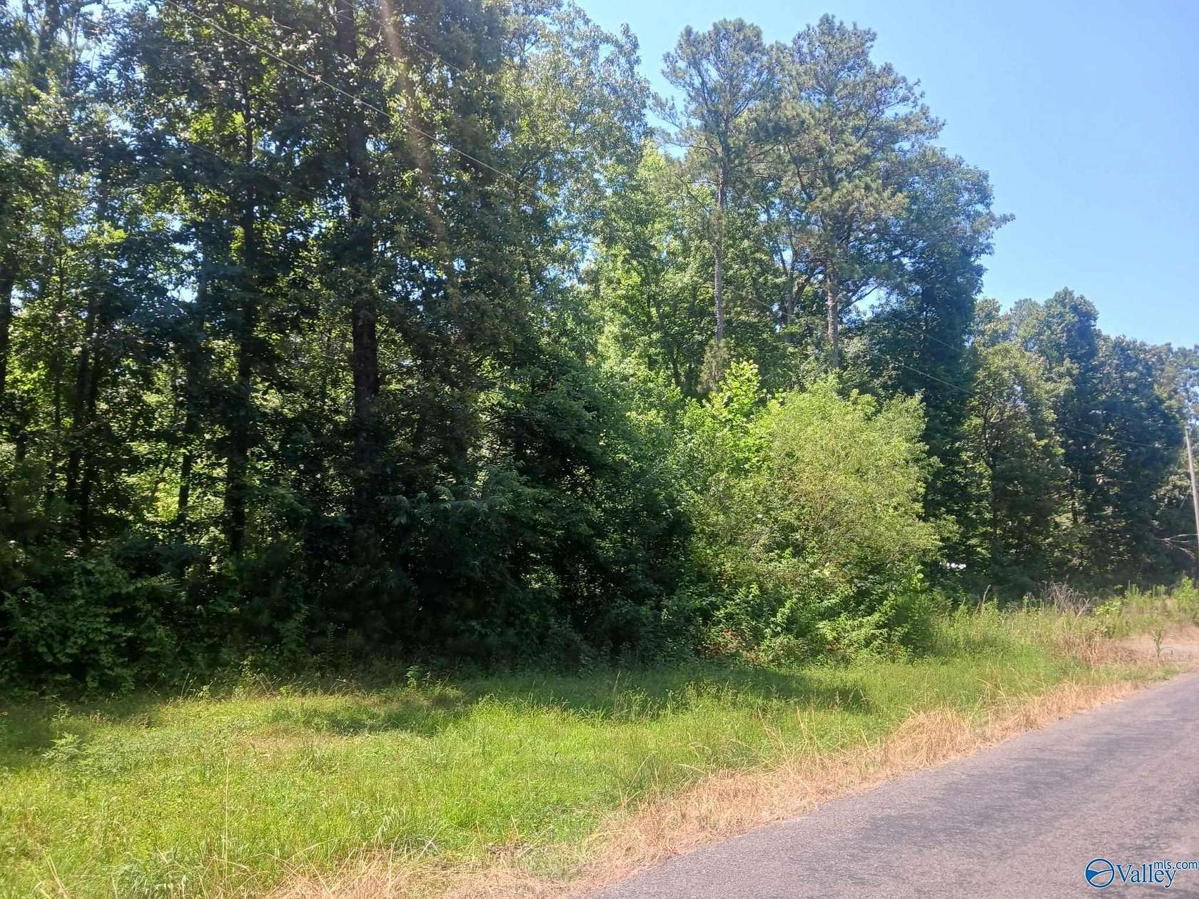 1.15 Acres of Land for Sale in Pisgah, Alabama