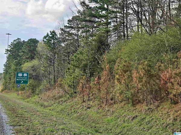 40 Acres of Land for Sale in Sylacauga, Alabama