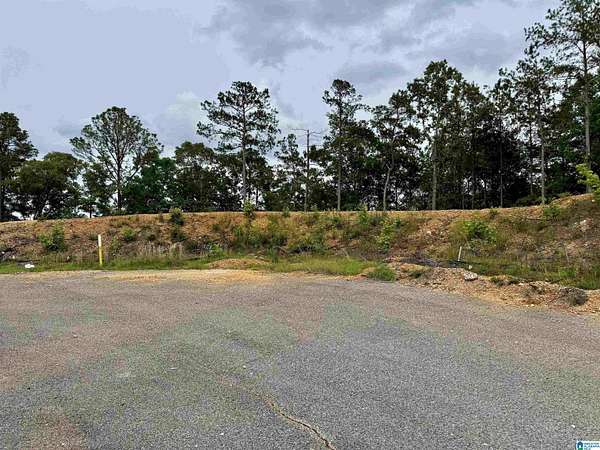2.84 Acres of Residential Land for Sale in Sylacauga, Alabama