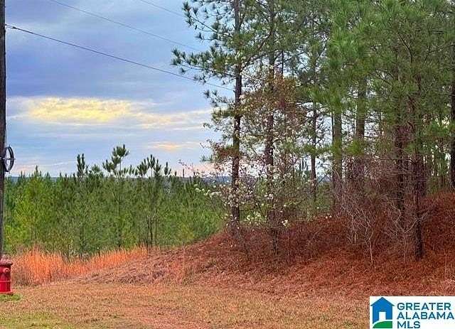 11.8 Acres of Land for Sale in Sylacauga, Alabama