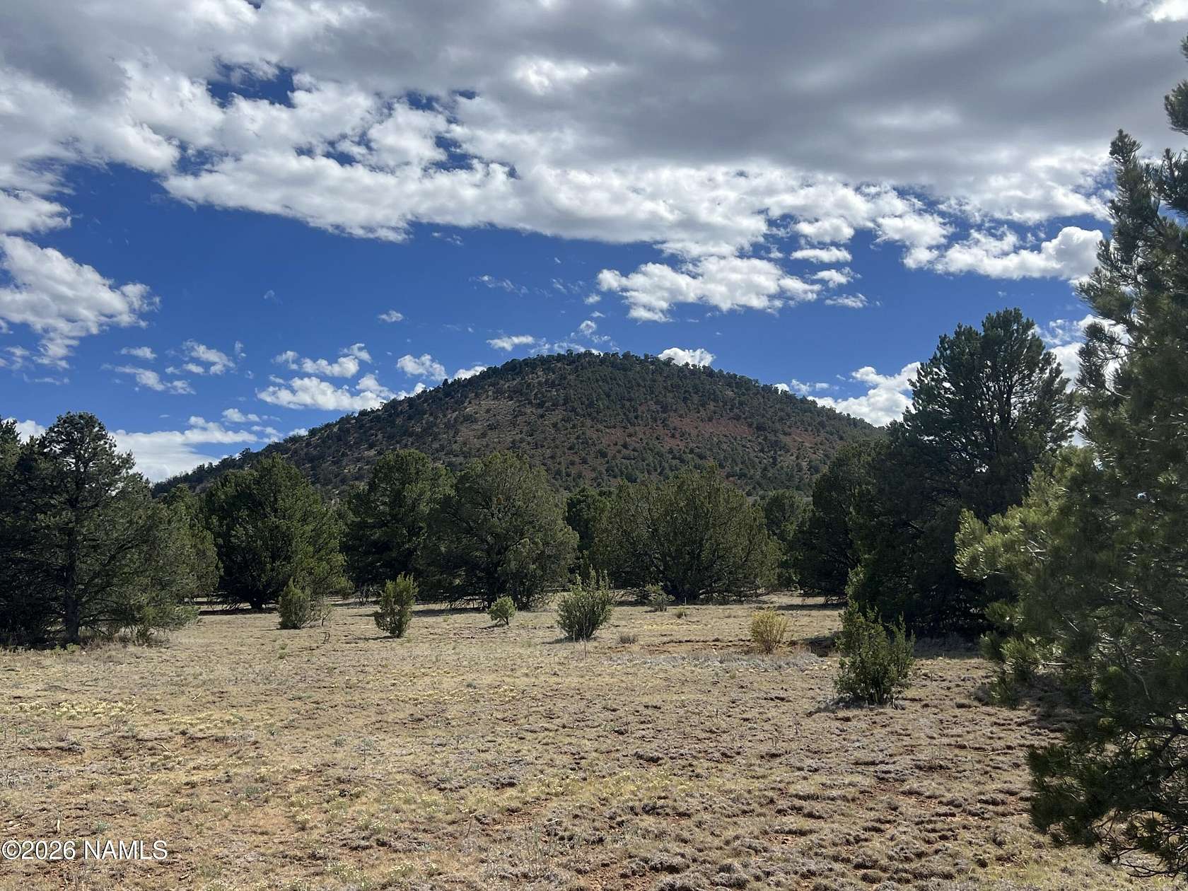 9.89 Acres of Land for Sale in Williams, Arizona