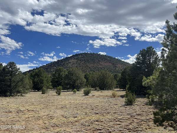9.89 Acres of Land for Sale in Williams, Arizona