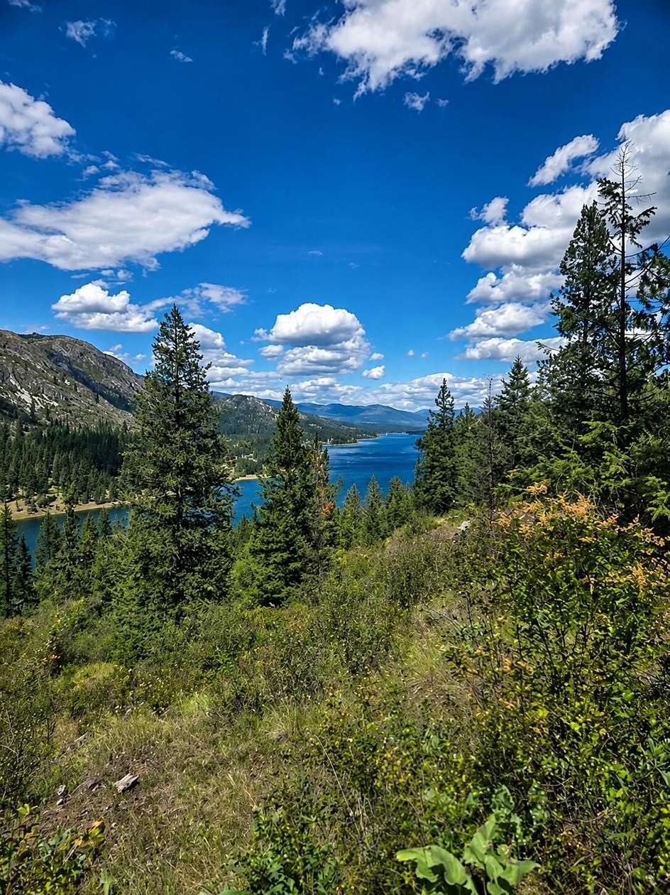 12.5 Acres of Recreational & Residential Land for Sale in Northport, Washington
