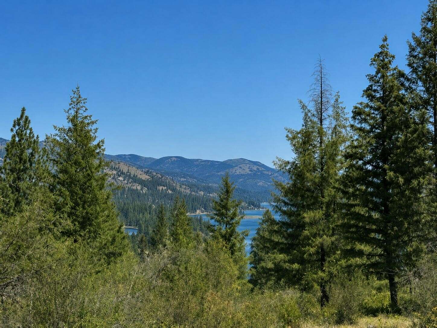 12.5 Acres of Land for Sale in Northport, Washington