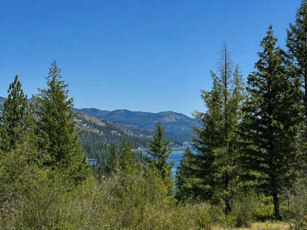 12.5 Acres of Land for Sale in Northport, Washington