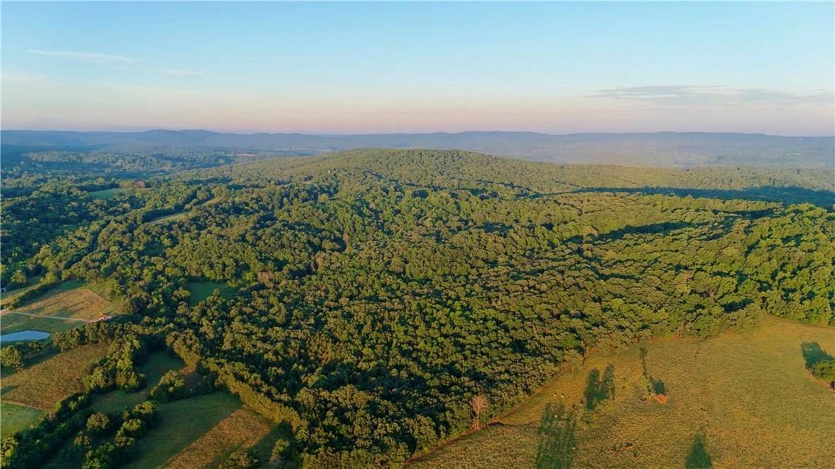 82.5 Acres of Land for Sale in Elkins, Arkansas