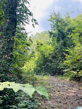 0.91 Acres of Land for Sale in Sylacauga, Alabama