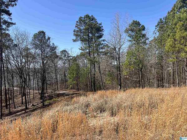 1.3 Acres of Residential Land for Sale in Sylacauga, Alabama