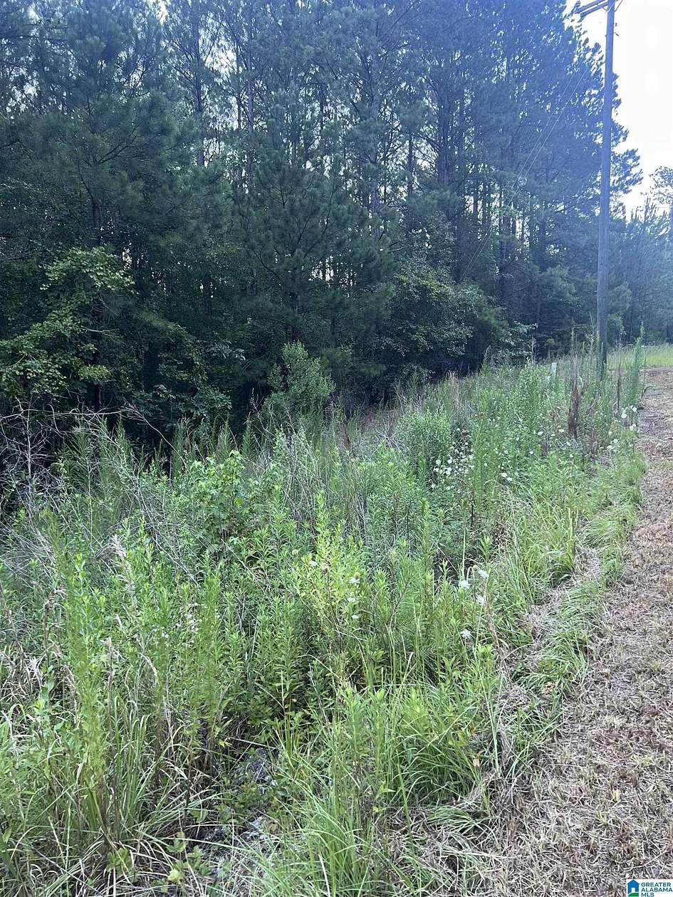 7.5 Acres of Residential Land for Sale in Sylacauga, Alabama
