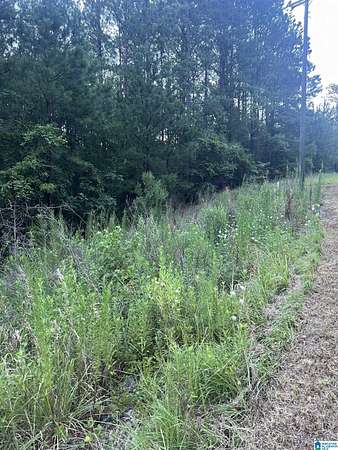 7.5 Acres of Residential Land for Sale in Sylacauga, Alabama
