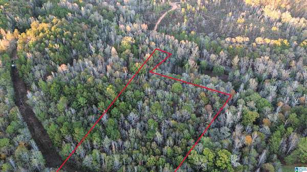 10 Acres of Land for Sale in Goodwater, Alabama
