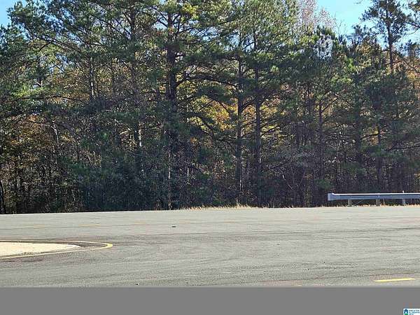 69 Acres of Recreational & Residential Land for Sale in Sylacauga, Alabama