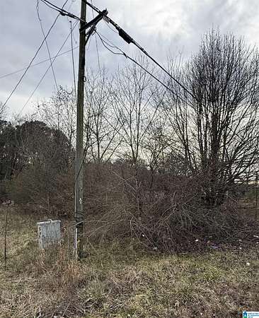 Residential Land for Sale in Sylacauga, Alabama