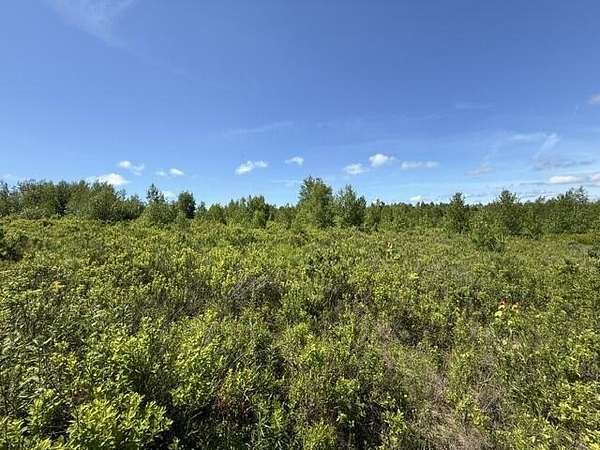 45 Acres of Land for Sale in Meddybemps, Maine