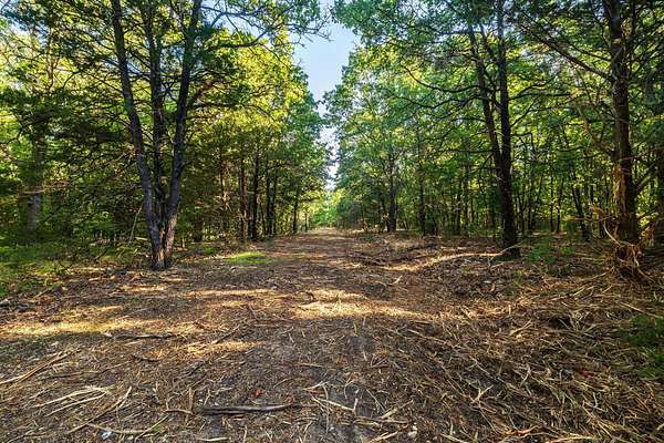 21.3 Acres of Recreational & Residential Land for Sale in Osceola, Missouri