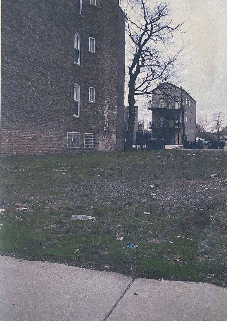 0.07 Acres of Residential Land for Sale in Chicago, Illinois