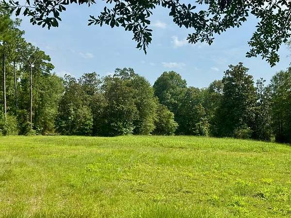 3.72 Acres of Residential Land for Sale in Hillister, Texas