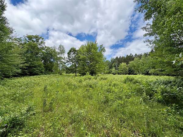 80 Acres of Recreational & Residential Land for Sale in Chetek, Wisconsin