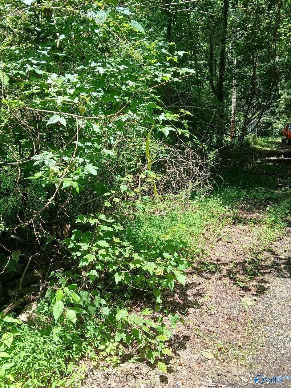 6.2 Acres of Land for Sale in Grant, Alabama