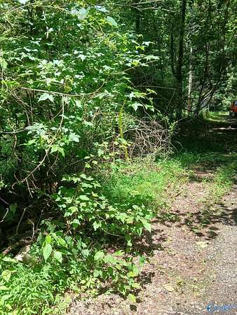 6.2 Acres of Land for Sale in Grant, Alabama