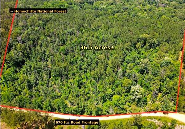 36.5 Acres of Recreational Land for Sale in Roxie, Mississippi