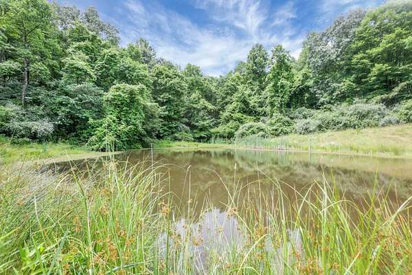 81.2 Acres of Recreational Land for Sale in Athens, Ohio
