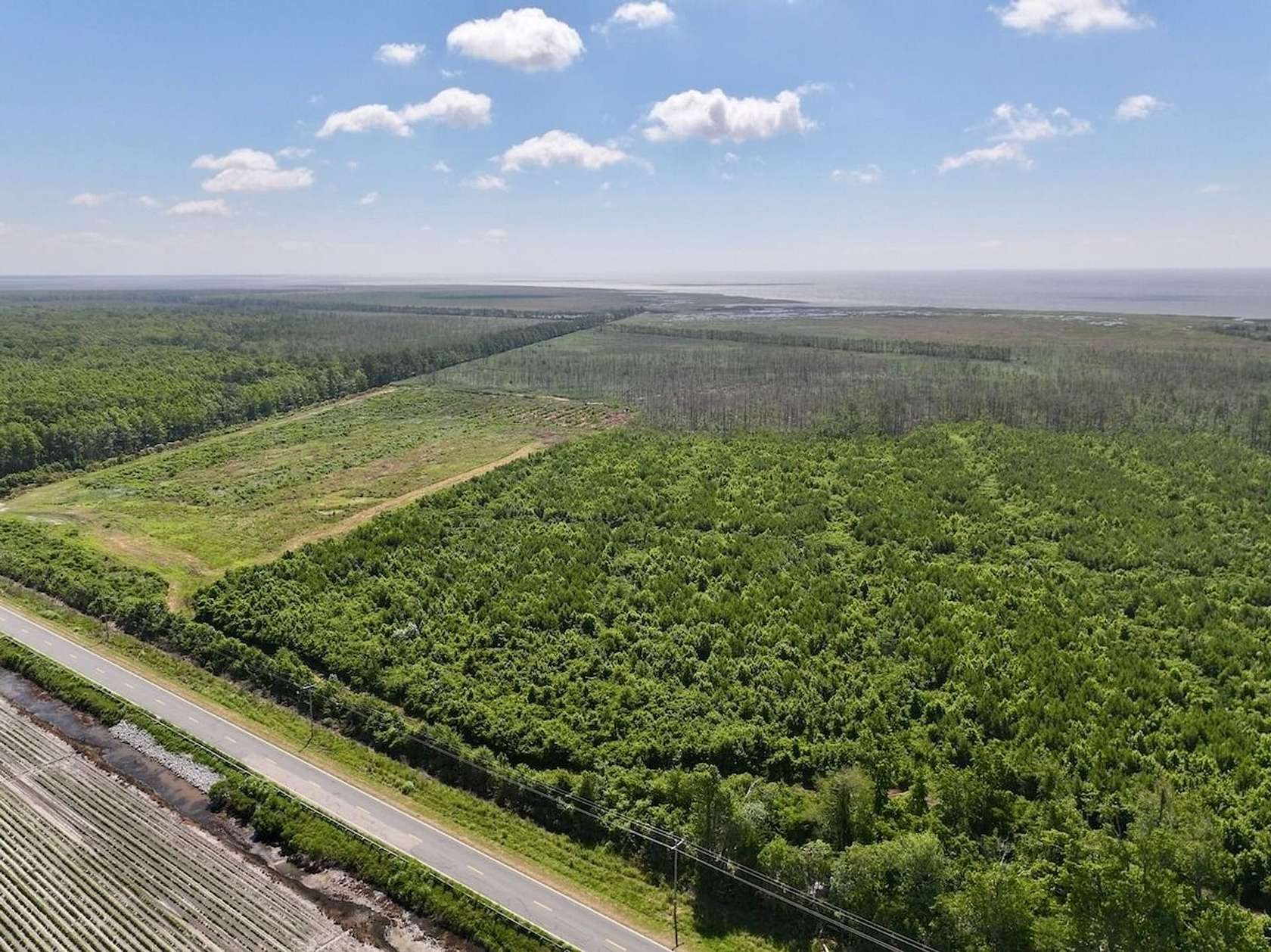 500 Acres of Land for Sale in Engelhard, North Carolina