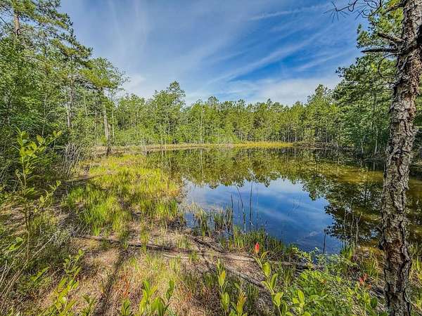 17.1 Acres of Recreational Land for Sale in Patrick, South Carolina
