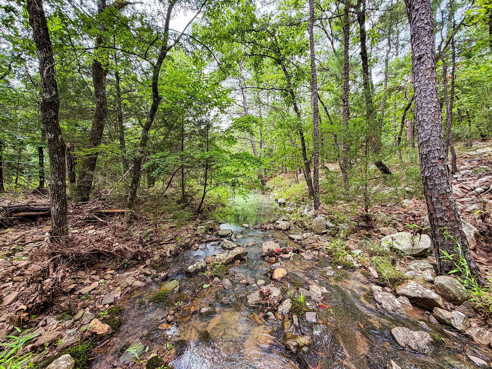 5 Acres of Recreational Land for Sale in Yanush, Oklahoma