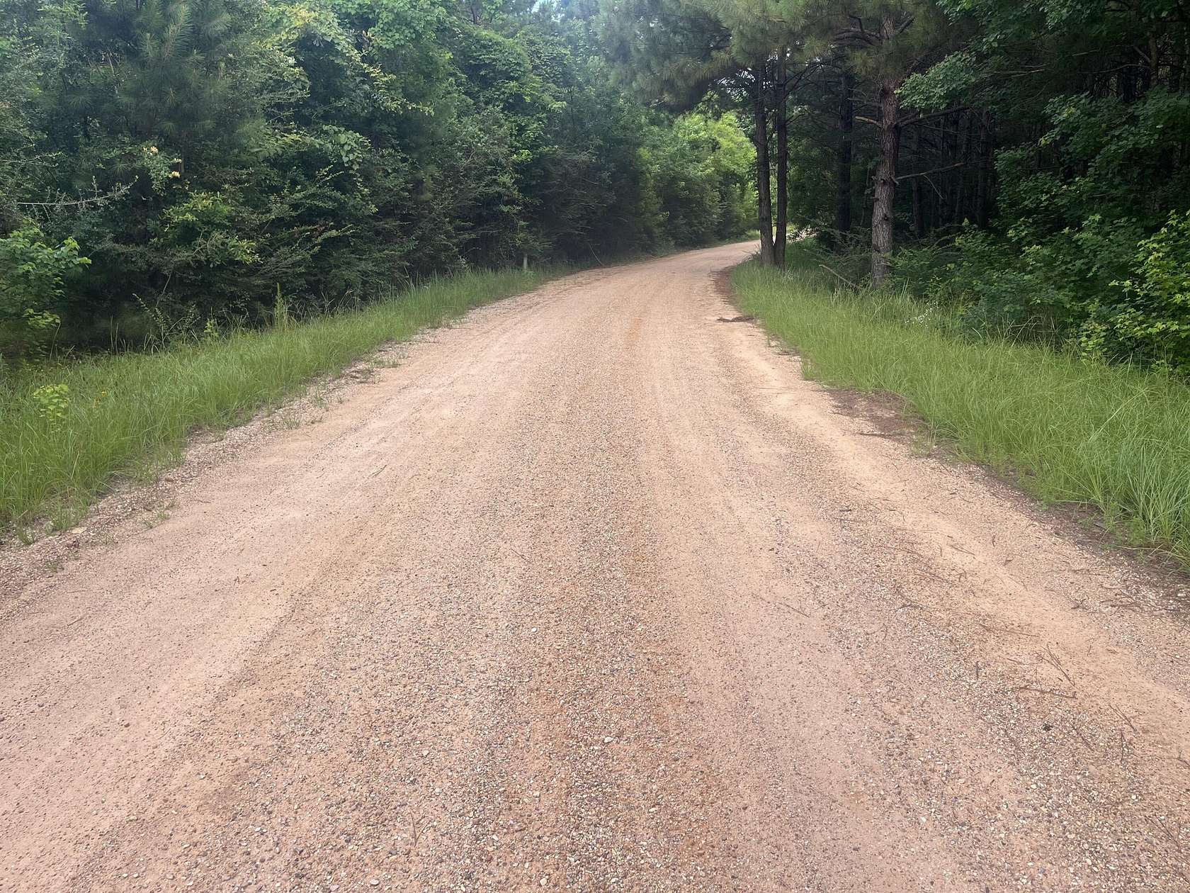 10 Acres of Land for Sale in Waynesboro, Mississippi