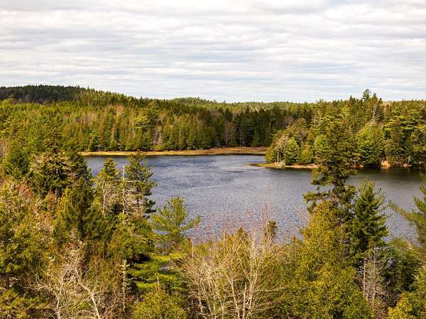7 Acres of Residential Land for Sale in Whiting, Maine