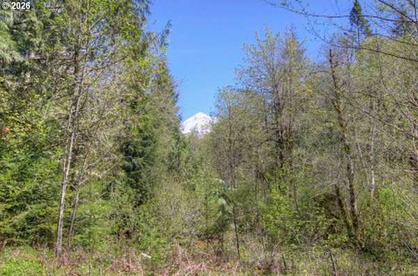 5.59 Acres of Residential Land for Sale in Rhododendron, Oregon
