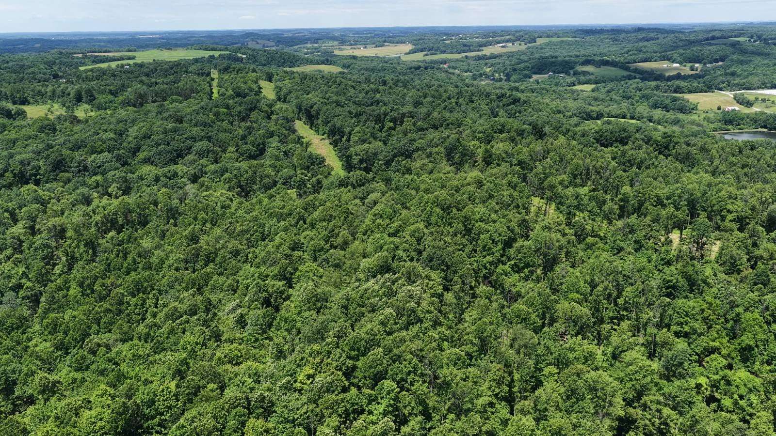 36 Acres of Recreational Land for Sale in Freeport, Ohio