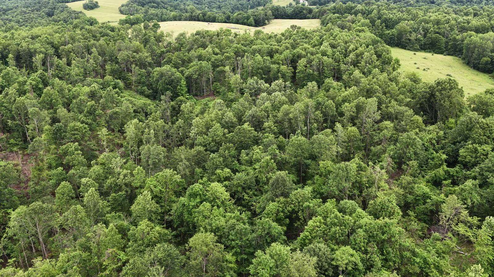 153 Acres of Recreational & Residential Land for Sale in Freeport, Ohio