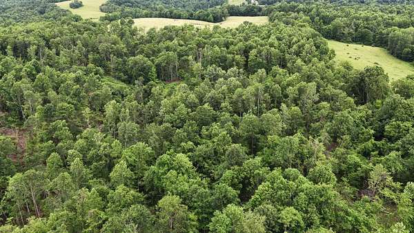 153 Acres of Recreational & Residential Land for Sale in Freeport, Ohio