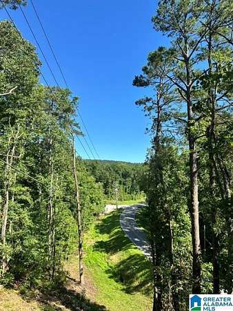 7.3 Acres of Land with Home for Sale in Chelsea, Alabama