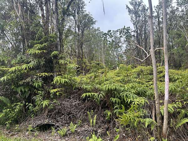 2 Acres of Land for Sale in Mountain View, Hawaii