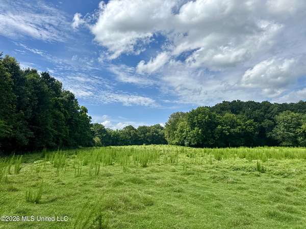 32.2 Acres of Land for Sale in Pickens, Mississippi