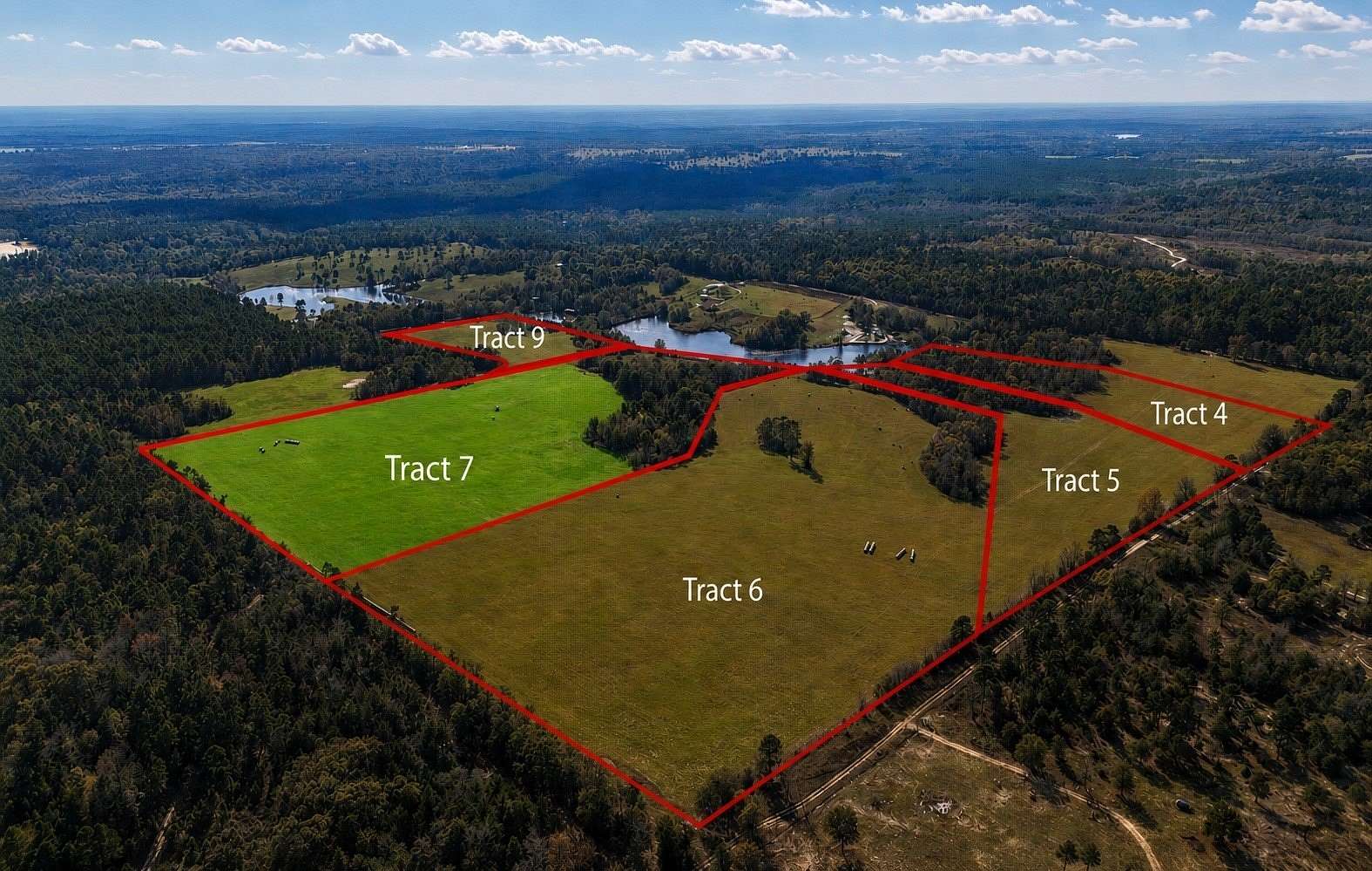 33.5 Acres of Land for Sale in Winnsboro, Texas