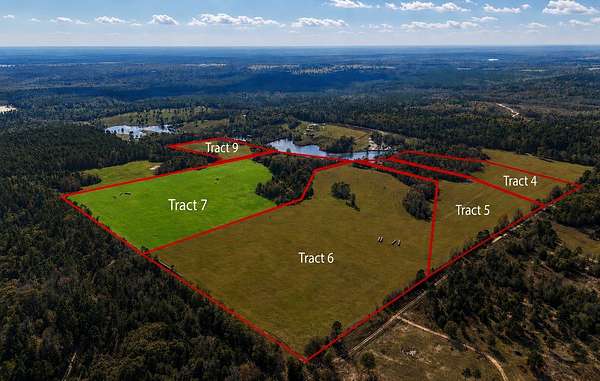 33.5 Acres of Land for Sale in Winnsboro, Texas