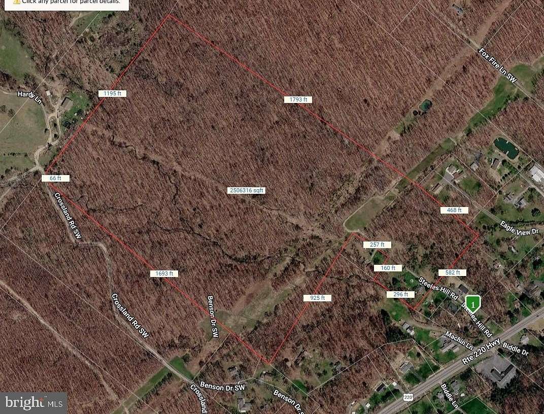 55.6 Acres of Recreational & Residential Land for Sale in Rawlings, Maryland