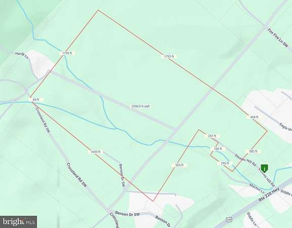 55.6 Acres of Recreational & Residential Land for Sale in Rawlings, Maryland
