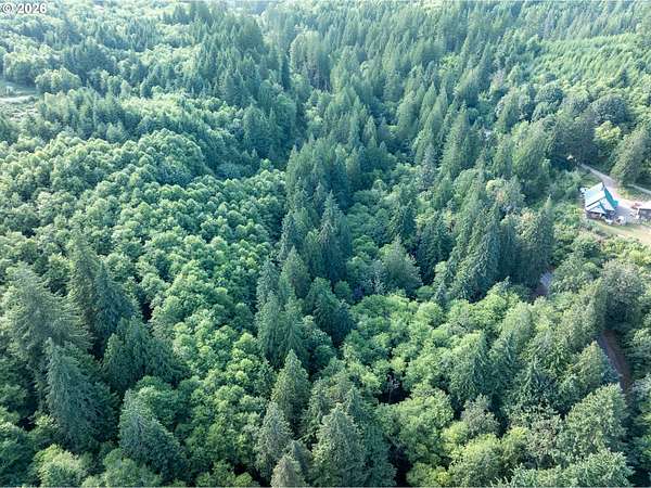 5 Acres of Residential Land for Sale in Ariel, Washington
