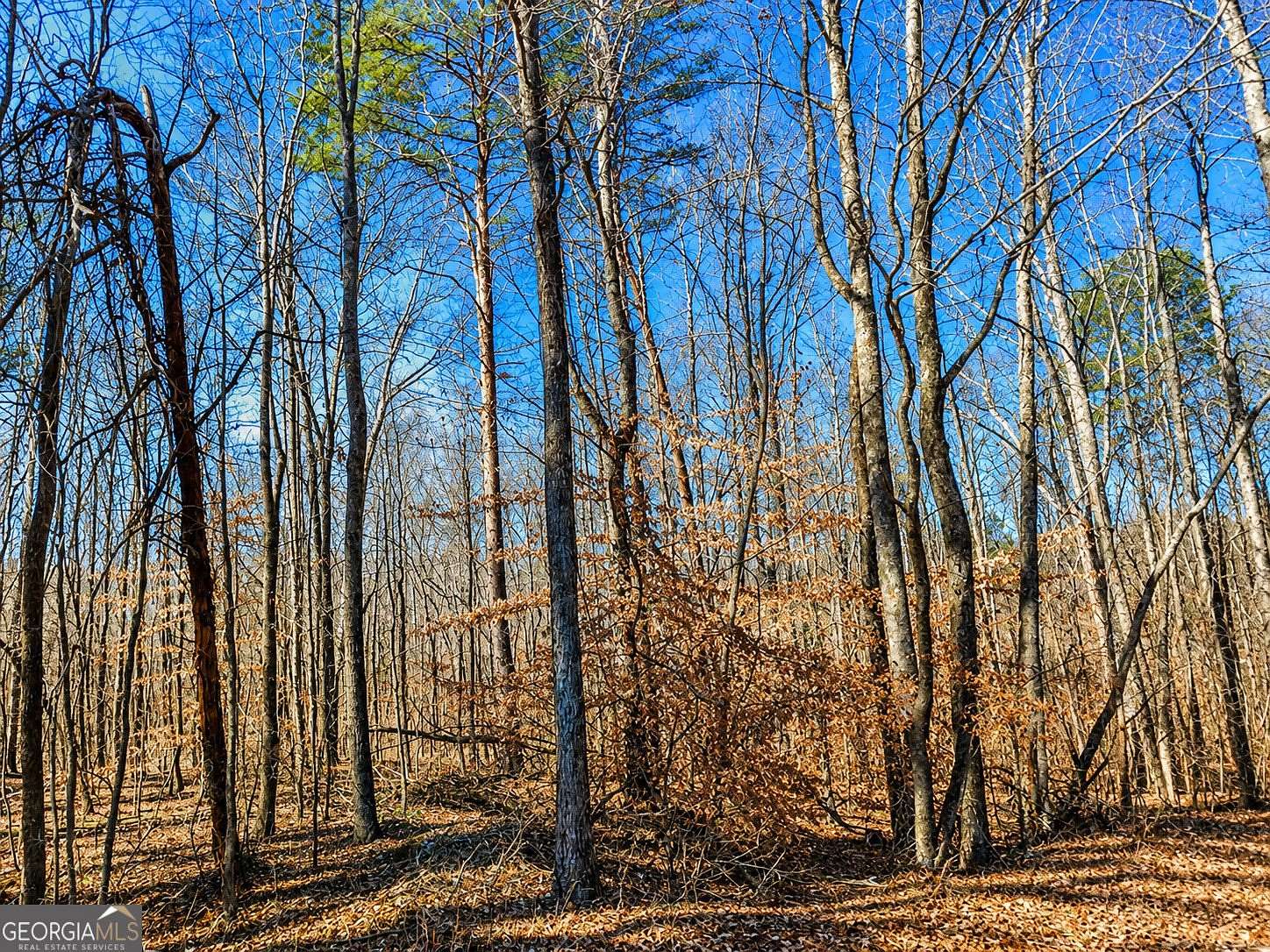 2 Acres of Residential Land for Sale in Jasper, Georgia