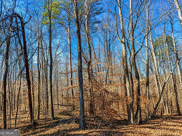 2 Acres of Residential Land for Sale in Jasper, Georgia