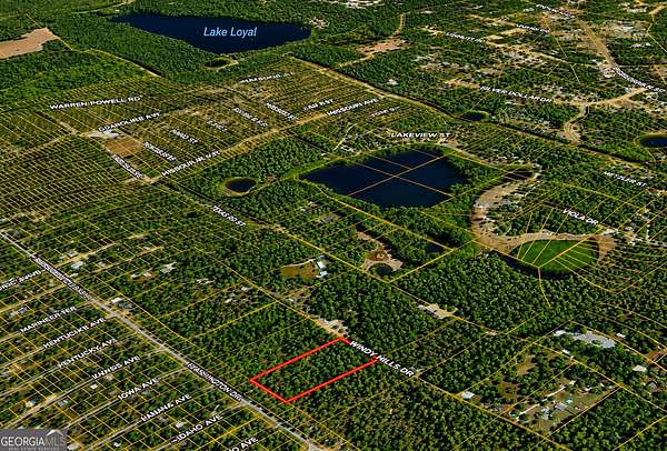 4.9 Acres of Residential Land for Sale in Hawthorne, Florida