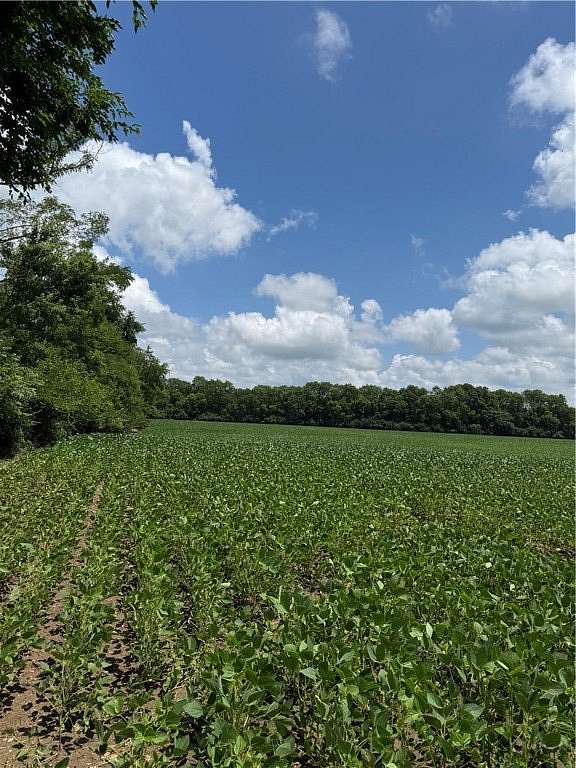 78.2 Acres of Land for Sale in Bethel Township, Ohio