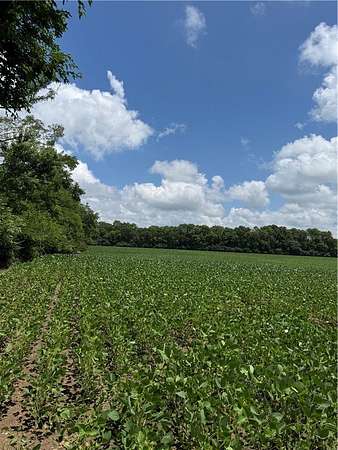 78.2 Acres of Land for Sale in Bethel Township, Ohio