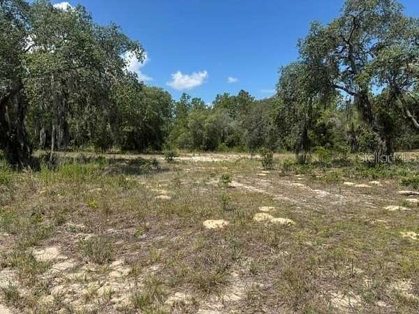 8 Acres of Residential Land for Sale in Dunnellon, Florida