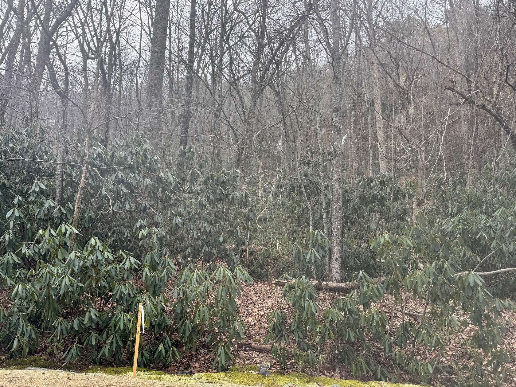 1.64 Acres of Residential Land for Sale in Highlands, North Carolina